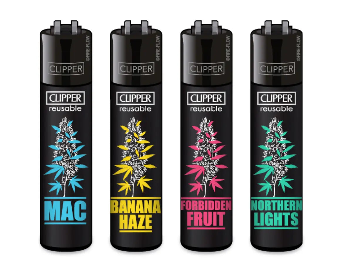 Clipper Plantz  Bundle